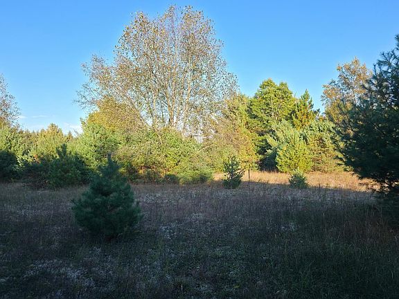 2nd image of 10 Vl Betsie River Rd