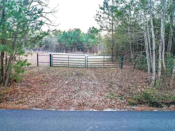 PARCEL 141539 Barge Rd, Zavalla, TX 75980