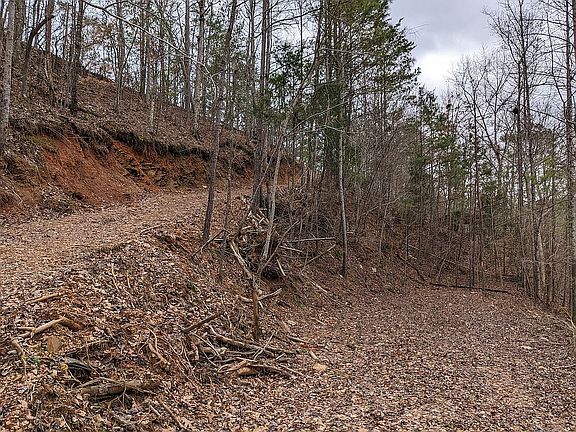 Road to Water & Bldg Pad