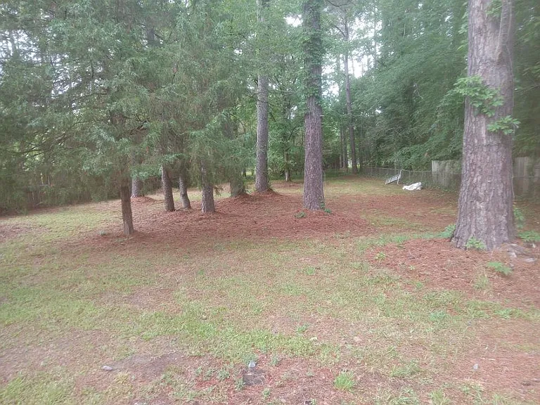 5213 Country Pines Ct — Photo 6