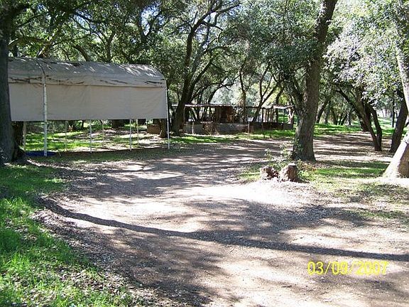 Bring your horses and toys!