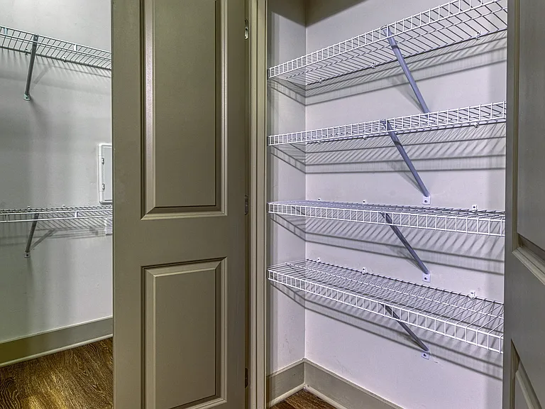 Storage closets with shelving