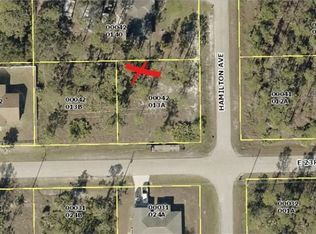 2907 E 23rd St, Alva, FL 33920