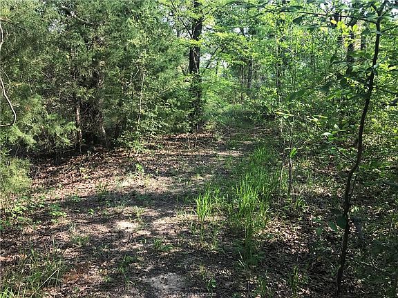4th image of 414 Wooded Acres Ln