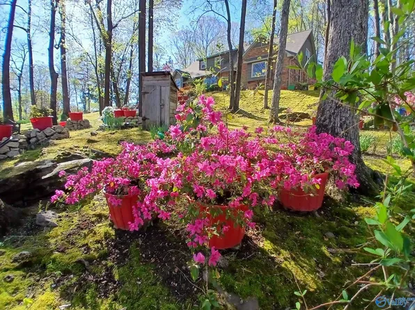 3702 Montevallo Rd SW, Decatur, AL 35603