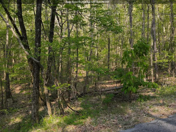 0 Country Rd #818-819-821, Warrior, AL 35180