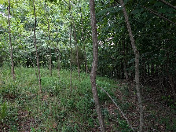 5th image of 580 Preservation Dr Lot 32