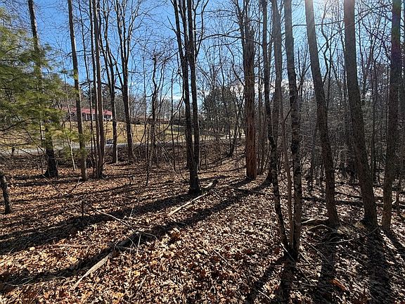 3rd image of Lynnhaven Cavalier Dr