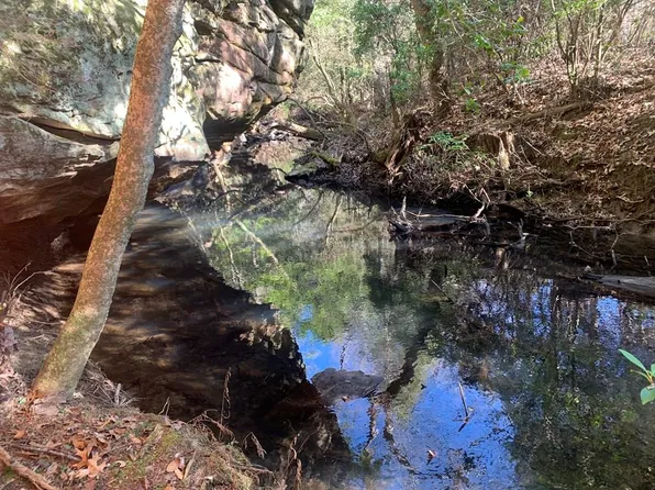 3 Lone Wolf Trl, Spencer, TN 38585