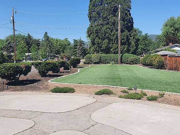 Artificial turf in front