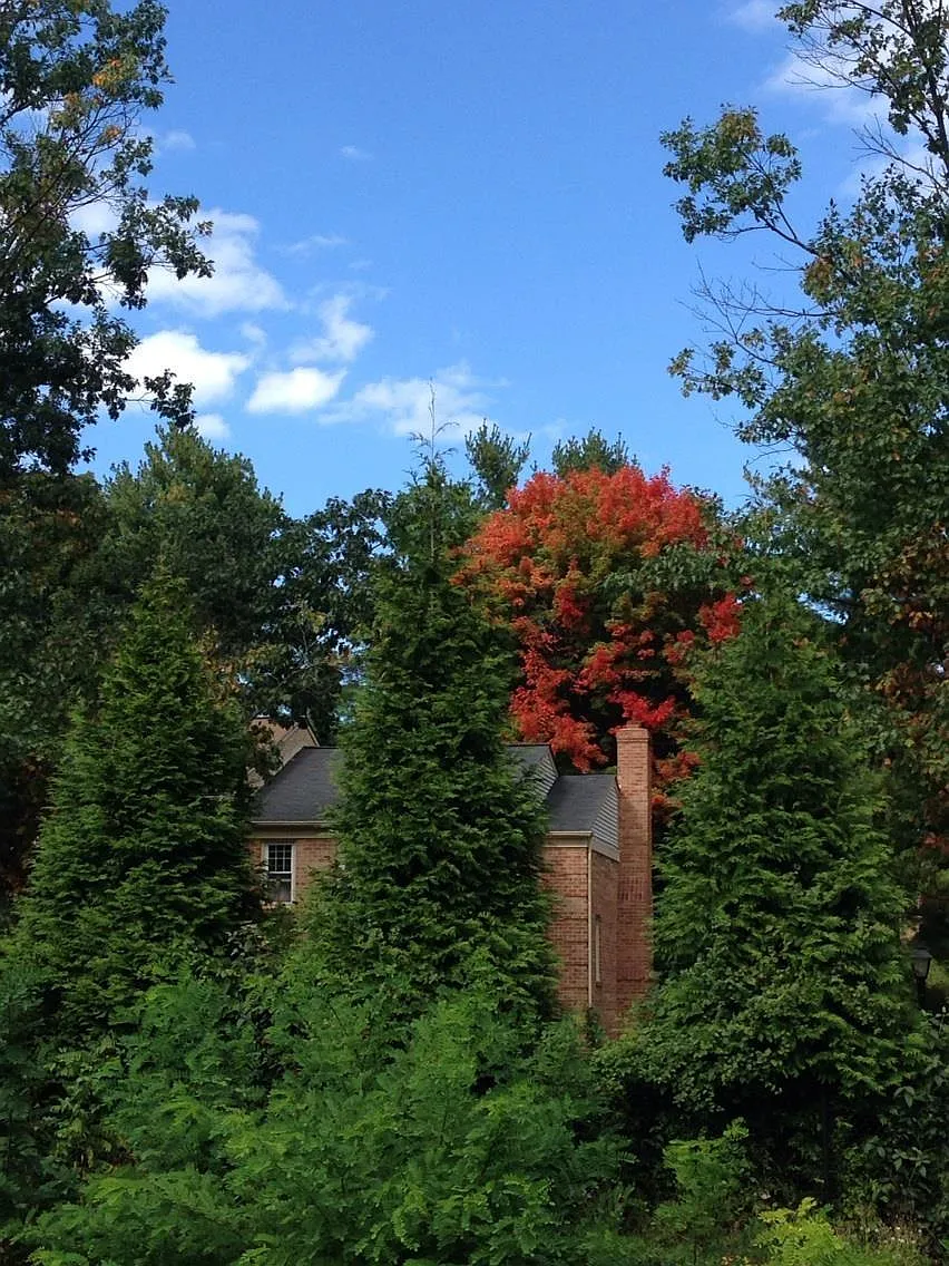 3 bed, 3.5 bath, 2300 sqft, $3,850 — Photo 1