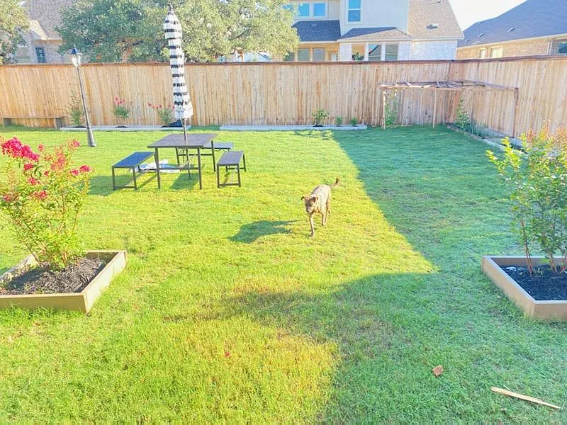 6 bed, 3.5 bath, 3200 sqft, $5,200 — Photo 4