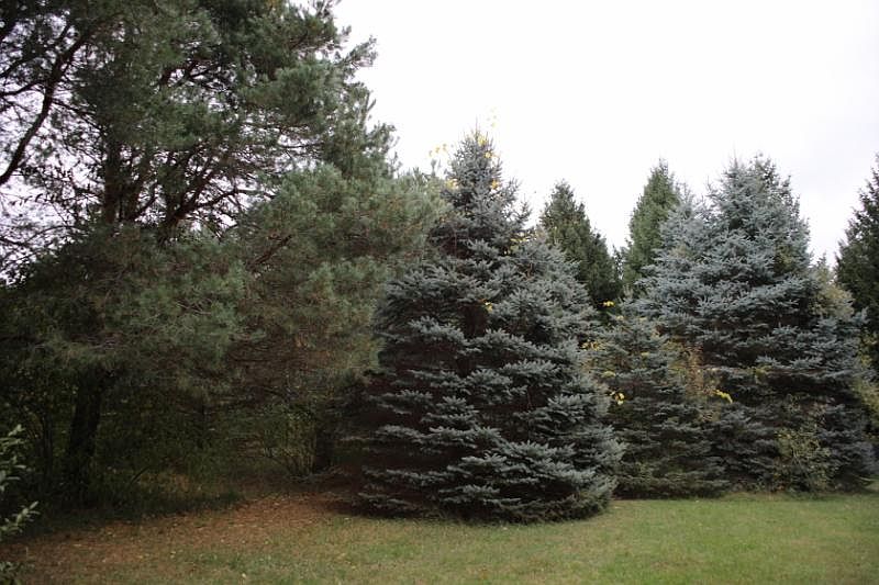2nd image of 2200 Thompson Rd