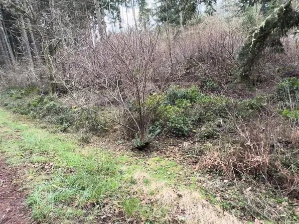 10618 Tahoma Drive, Anderson Island, WA 98303