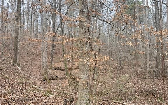 2nd image of 00LOT1 N Helton Rd