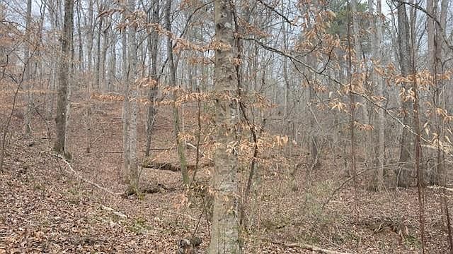 2nd image of 00LOT3 N Helton Rd