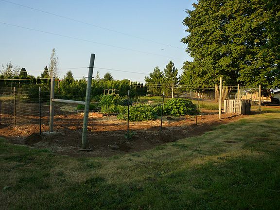 deer protected garden