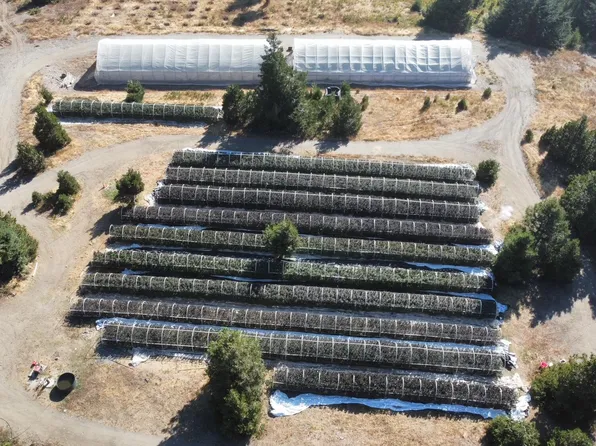 155 / Friday Ridge Rd, Blue Lake, CA 95525