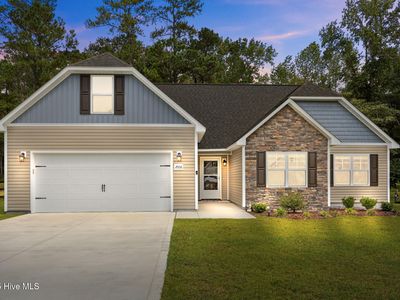 2006 Belgrade Swansboro Road, Maysville, NC, 28555