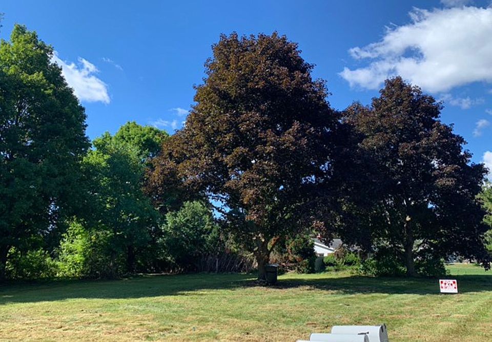 2nd image of 18260 Chipstead Dr