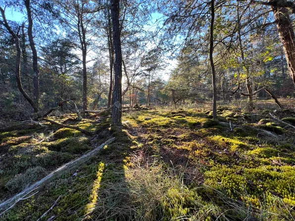 County Road 52 Lot Wp001, Cedar Bluff, AL 35959