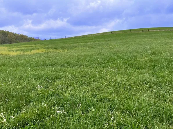 248 Jackson Branch Rd, Mount Olivet, KY 41064