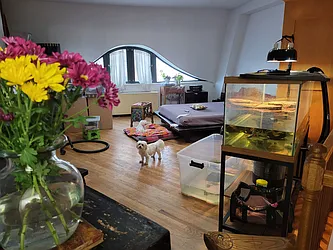 Rented by Chartwell Manhattan Realty