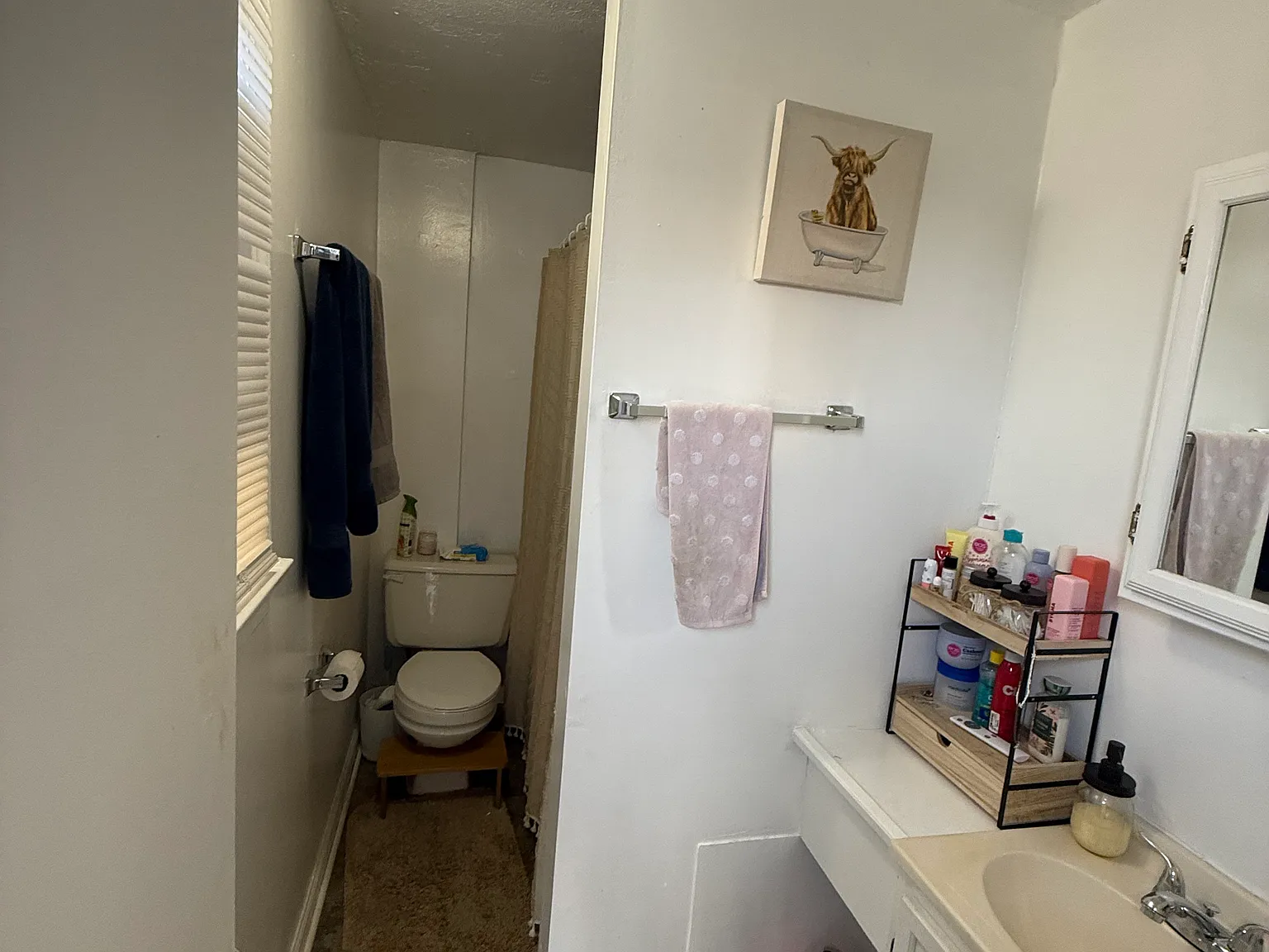 1 bed, $750 — Photo 4