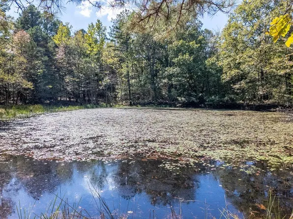 Tbd Forrest Dr, Houston, MO 65483