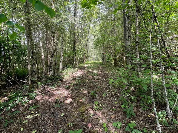 0 Spirit Lake Highway #0006, Castle Rock, WA 98611