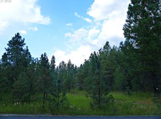 11 Greenwood Rd, Trout Lake, WA 98650