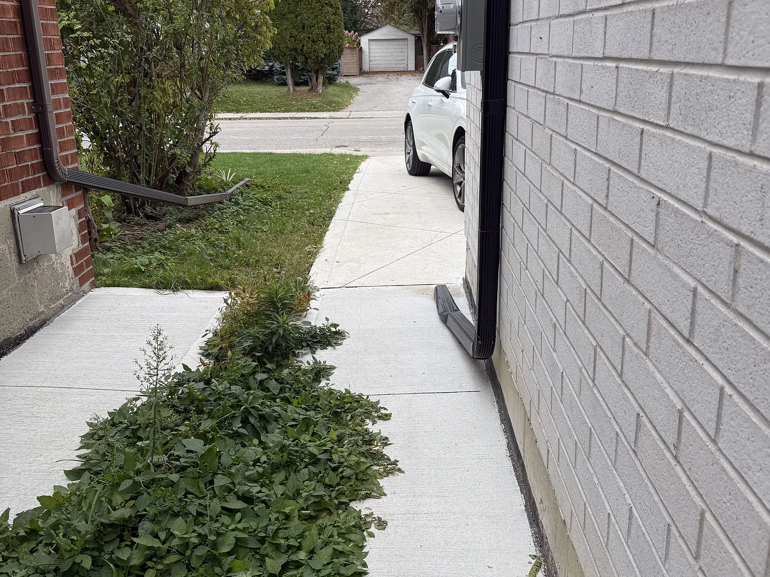 2 bed, $2,100 — Photo 4