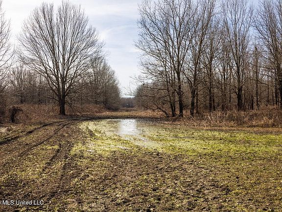 57th image of this home