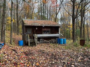 231 Ives Settlement Rd #46, Bainbridge, NY 13733