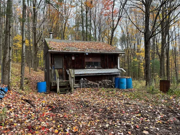 231 Ives Settlement Rd #46, Bainbridge, NY 13733