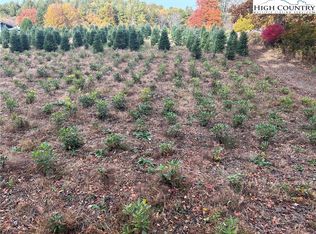 Aaron Church Ln, Newland, NC 28657