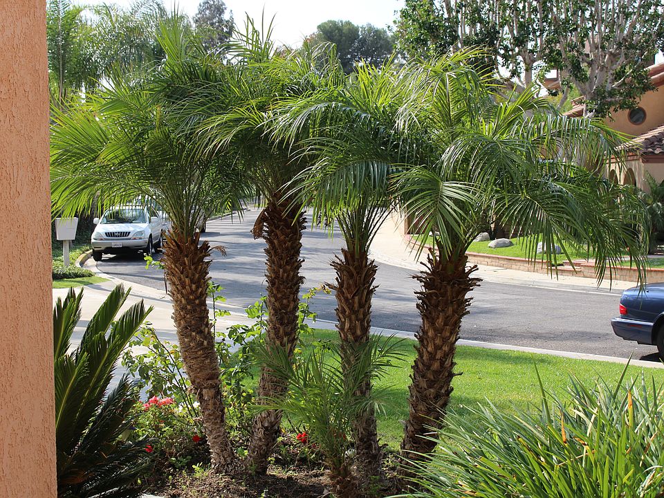 1st image of 1930 N Brandon Cir