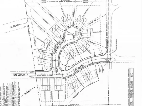 Jackson St, Mount Jackson, VA 22842