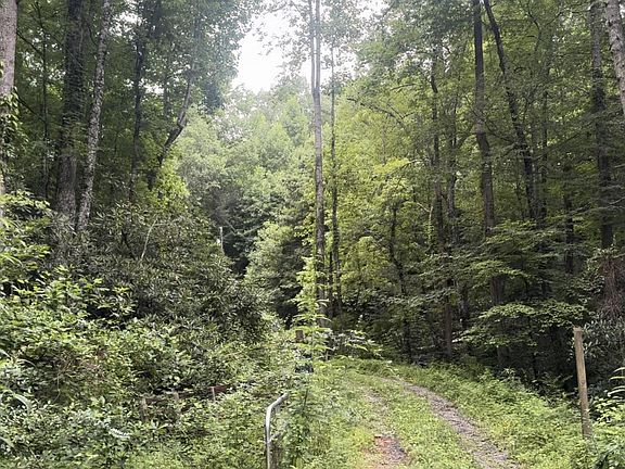 4th image of 1210 Laurel Lick Rd