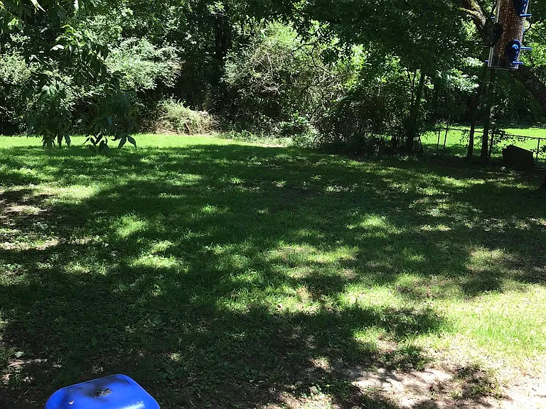 909 Louisville Rd — Photo 3