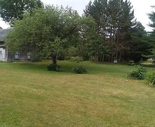 Large lawn