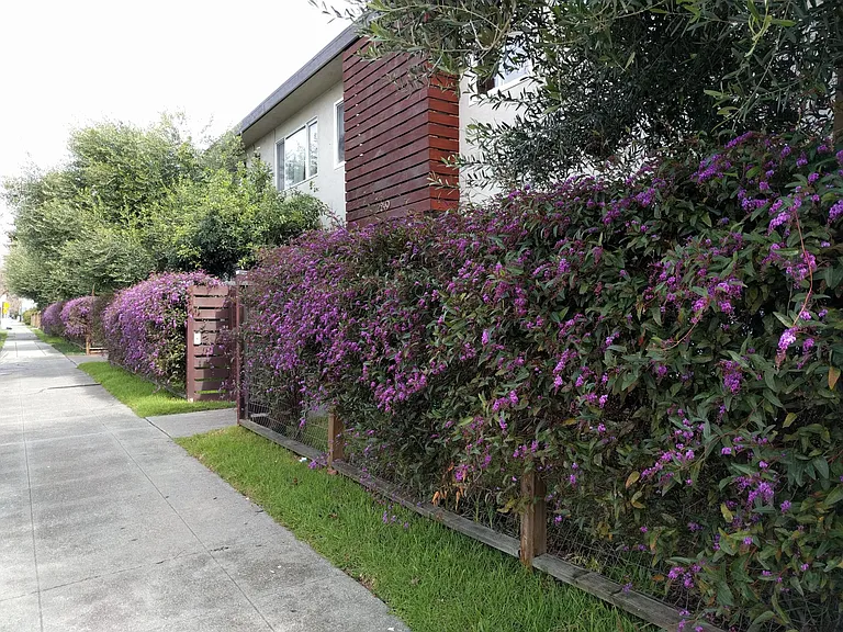 2235 Bonar St #D — Photo 9