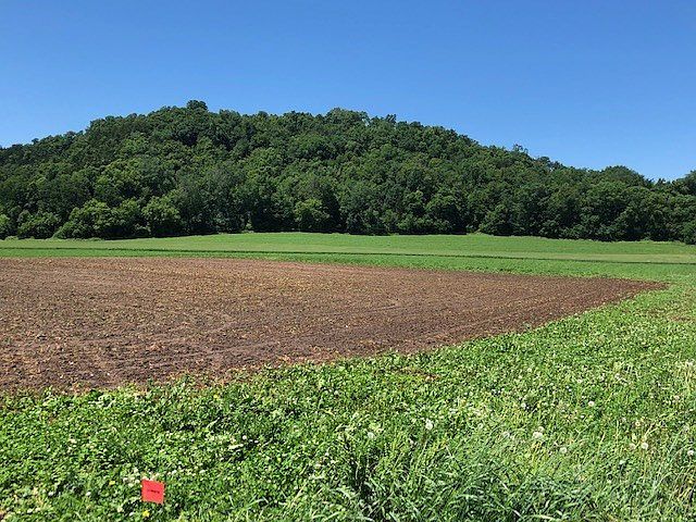 2nd image of County Road Pf