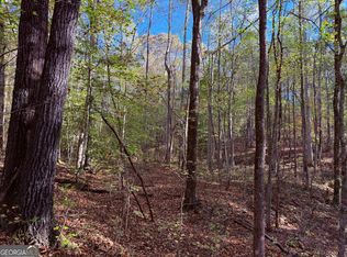 1001 Whooping Creek Rd, Carrollton, GA 30116