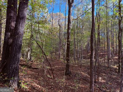 1001 Whooping Creek Rd, Carrollton, GA, 30116