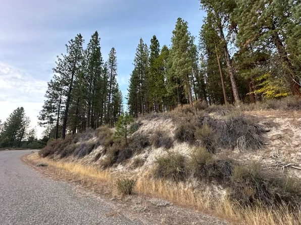 64613 Parkers Rd, Blairsden, CA 96103