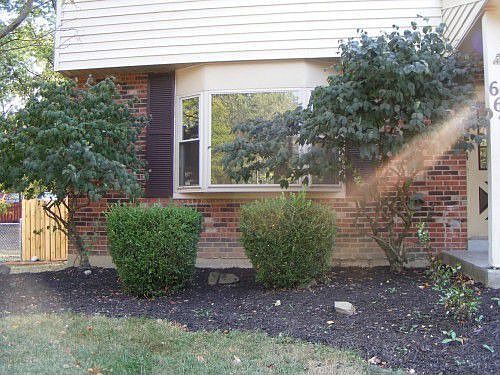 Bay Window outside