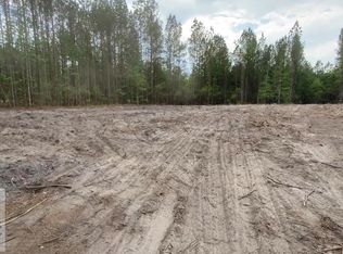1 Fire Tower Rd SE, Ludowici, GA 31316