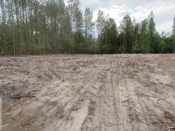1 Fire Tower Rd SE, Ludowici, GA 31316