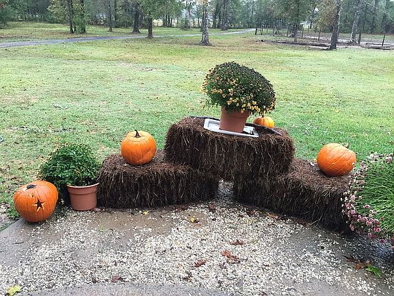 Front acreage with drive.